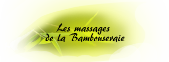 Massages de La Bambouseraie